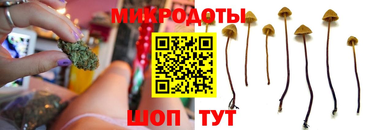 Борисоглебск  Галлюциногенные грибы Magic Shrooms  Вход с VPN 